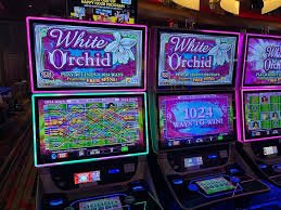 pecah777 platform interface showing football markets, live-dealer tables, and slot games